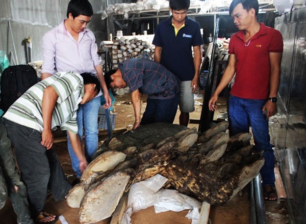 Nhiều người tò mò đến xem nấm.