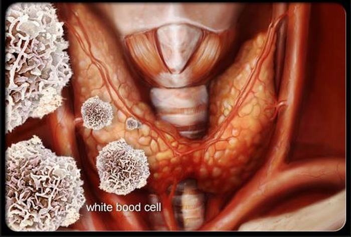 Nếu hormone được tiết ra quá nhiều sẽ gây hiện tượng như: mệt mỏi, giảm cân bất thường hoặc ăn uống vô độ, nhịp tim nhanh, khó chịu, hay lo lắng, khó ngủ, không chịu được nóng, yếu cơ, đổ mồ hôi nhiều…