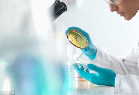 Các nhà khoa học Mỹ đã phát triển thành công dương vật trong phòng thí nghiệm.