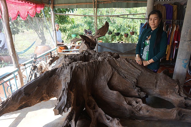 'Than duoc' chi tu...cay Sau Do hinh anh