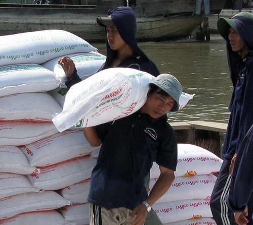 Duong Viet Nam du suc canh tranh voi Thai Lan? hinh anh