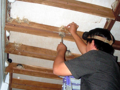 Ap luc gia giam de nang nguoi nuoi chim yen hinh anh