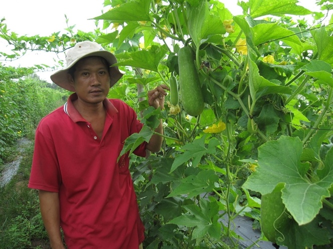 Bi dao chanh duoc thi truong ua chuong hinh anh