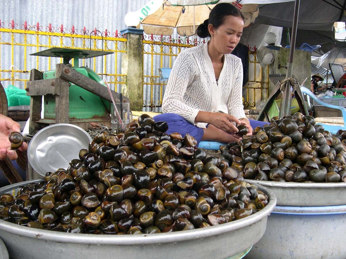 Cua ca mat tam, nguoi mien Tay that thu mua lu hinh anh