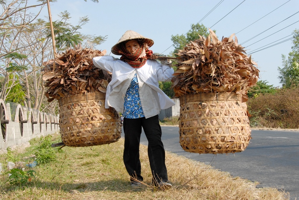 Nhung cho ban do 'bo di' doc dao o mien Tay hinh anh