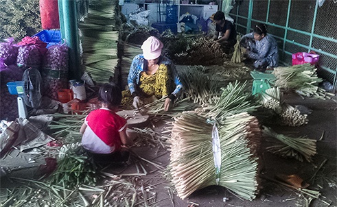 Sa bam duoc che bien nhu the nao? hinh anh