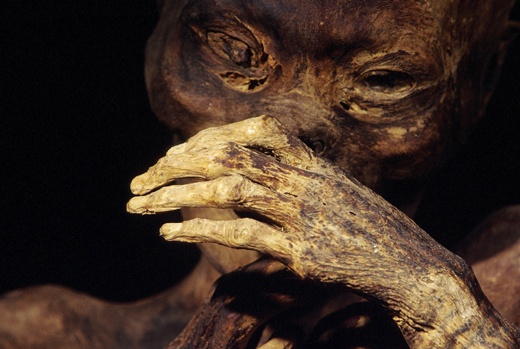 Theo ban Di tích thì đây là một trong 100 địa danh trên thế giới có nguy cơ biến mất.