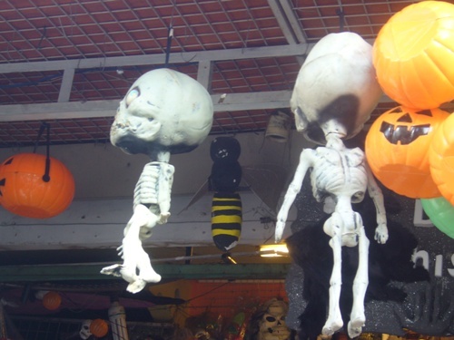 Khung xương bằng mút khá lạ mắt.