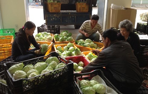 Han Quoc muon nhap nhieu nong san Viet Nam hinh anh