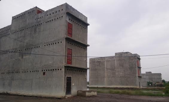 Dua xay nha de nuoi chim yen tai Sai Gon hinh anh