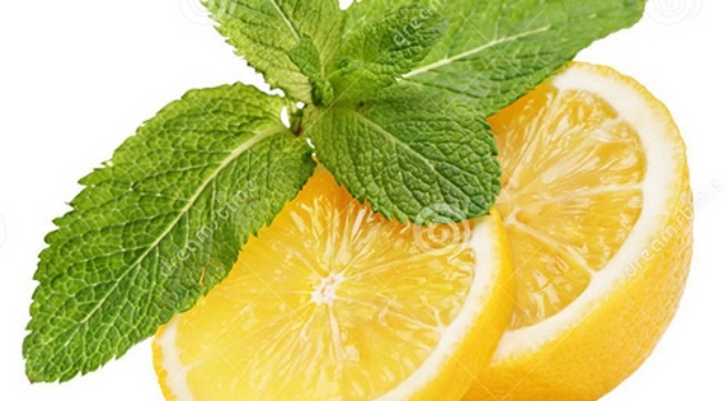 Nhung loi ich tuyet voi tu trai chanh hinh anh