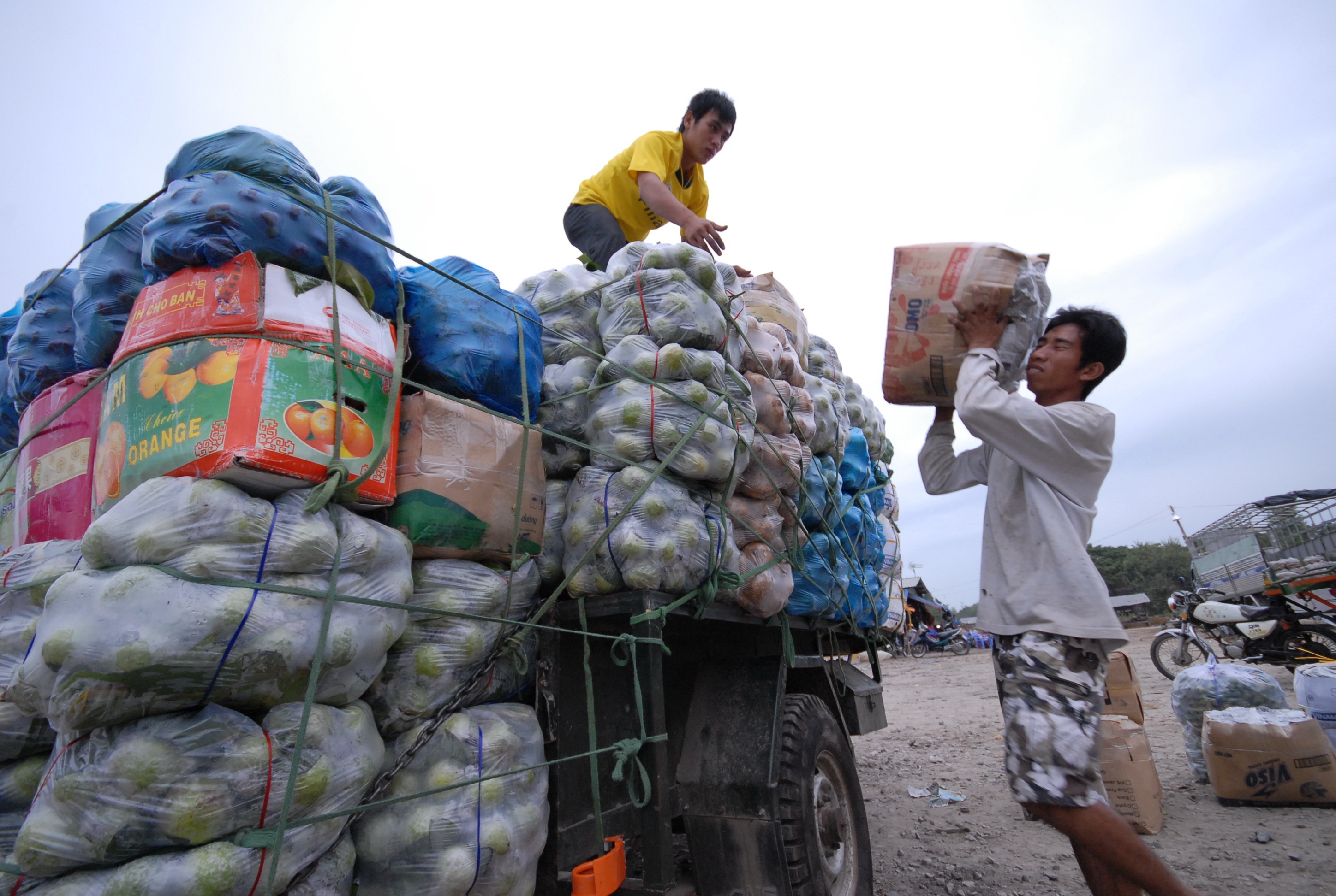 Lúc trái cây hút hàng thương lái Campuchia sang tận vựa của chị thu mua.   Ảnh: Ngọc Trinh 