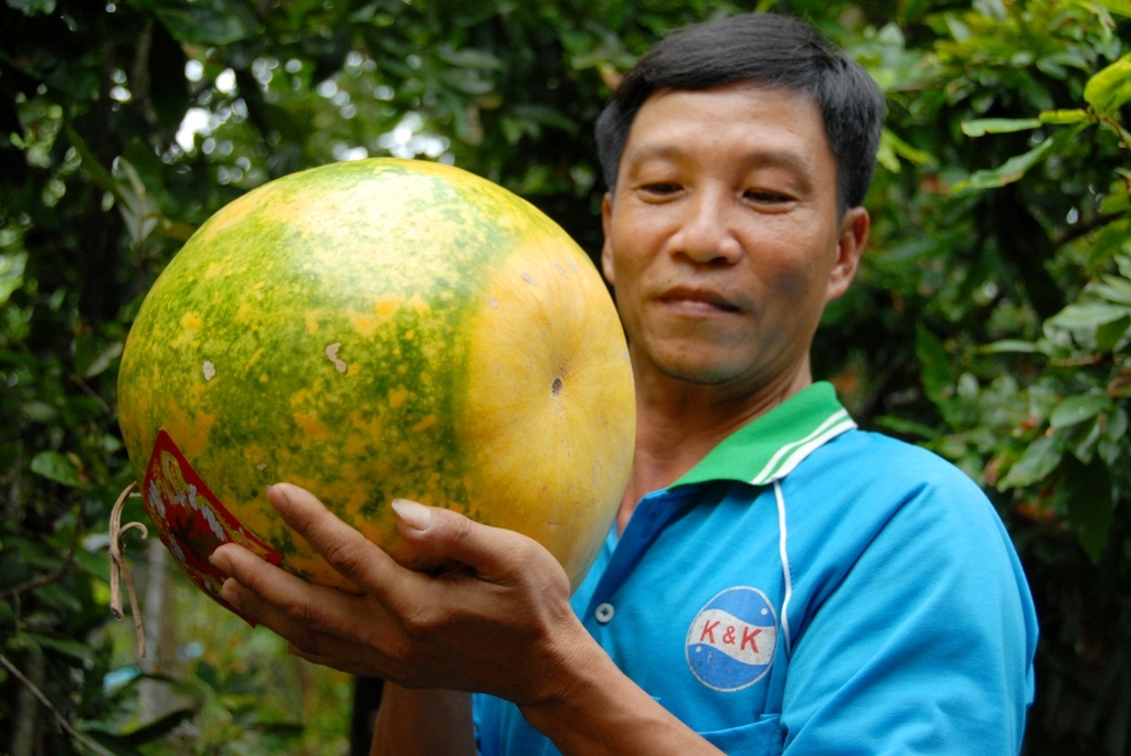 Nhung trai cay mien Tay de ca nam khong hong hinh anh