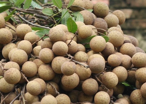 Nhãn: Loại trái cây này tính nóng, nếu bà bầu ăn nhiều nhãn trong thai kỳ sẽ dẫn đến chứng táo bón, mẩn ngứa, khiến da dễ bị sạm, nám. Những ảnh hưởng từ các triệu chứng nói trên sẽ không tốt cho thai nhi và sức khỏe của mẹ bầu.