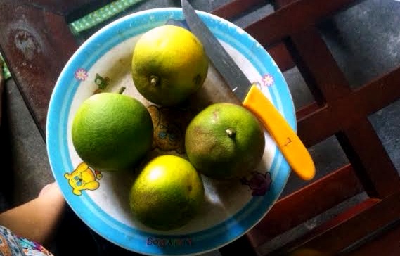 Để mua được cam sạch, gia đình anh Hiệu ở Ba Đình phải dậy sớm, chạy 20km để mua.