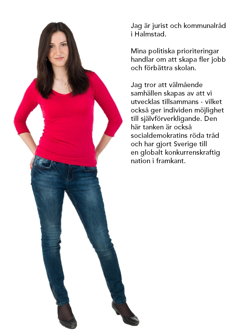 Tốt nghiệp khoa Luật tại Đại học Lund, Aida được bổ nhiệm bộ trưởng khi cô mới 25 tuổi và cô còn là tín đồ Hồi giáo đầu tiên trong chính phủ.    