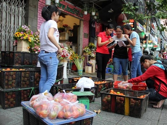 Ra tay cuu ca chua Lam Dong hinh anh