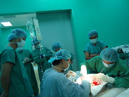 Ghép thận tại Bệnh viện Nhân dân 115 (TP HCM).