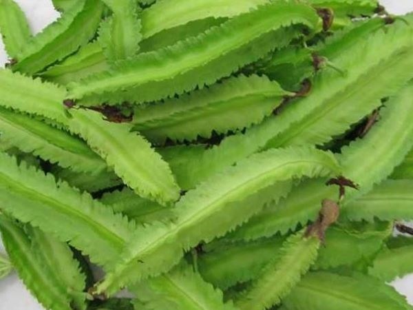 Top 10 loai rau cu giau canxi hinh anh