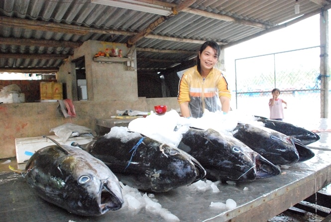 Trung dam ca ngu trai vu hinh anh