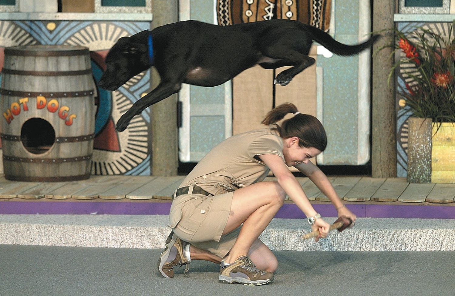 Nhung cong viec khien nguoi My so hai nhat hinh anh