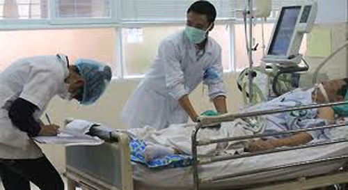 Cu ong tu vong do sac banh gai hinh anh