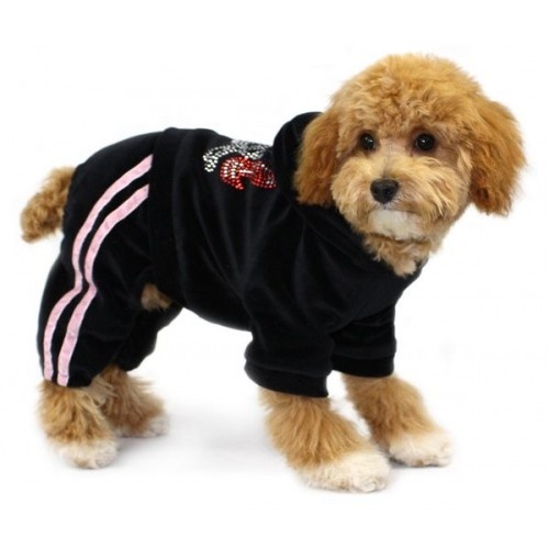 Những ý tưởng kinh doanh hay từ cún cưng thành công luôn có yêu cầu trước tiên bạn phải là người yêu quý động vật. Ảnh minh họa.