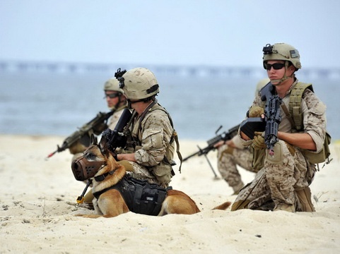 My phat sot khi dac nhiem SEAL thi nhau lo bi mat hinh anh