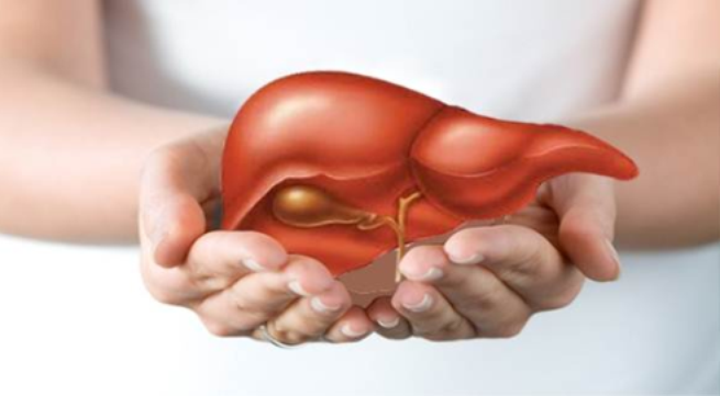 Cach bao ve gan, chong nhiem doc hinh anh