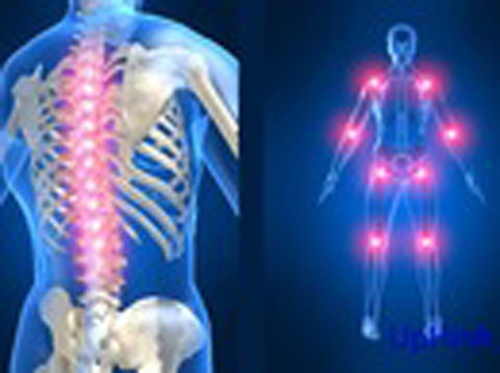 Chon 'ban' cho xuong hinh anh