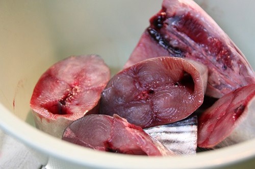 Cá ngừ là một trong những loại cá rất giàu Omega-3. Hình minh họa.