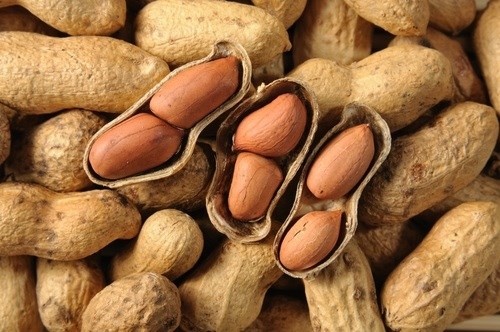 Đậu phộng (lạc): Đậu phộng rất giàu axit folic, chứa nhiều axit không bão hòa đơn béo, làm giảm cholesterol trong máu cao. Ngoài ra, còn có cellulose hữu ích, giúp bạn kiểm soát trọng lượng, ngăn ngừa bệnh béo phì rất hiệu quả. Đậu phộng còn tốt cho tim, giảm cholesterol có hại, ngăn ngừa lão hóa, tăng cường trí nhớ. Đặc biệt, nghiên cứu của trường Đại học Linkoeping (Thụy Điển) cho thấy, phái mạnh thường xuyên ăn đậu phộng sẽ rất tốt cho “chuyện ấy”. Với phụ nữ, tăng cường ăn đậu phộng cũng là giải pháp cải thiện kích thước vòng một thêm căng tròn hấp dẫn.