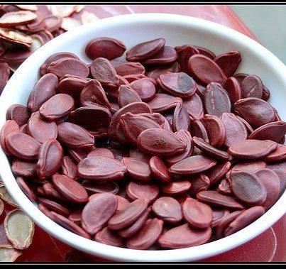 Hạt dưa hấu: Là một thực phẩm có nhiều chất dinh dưỡng như protit, glucid, lipid, vitamin B1, B2, vitamin E, PP, canxi, kẽm, photpho, selen, đồng, sắt, kali… rất có ích với người mắc bệnh viêm gan, rối loạn lipid máu, bệnh tim, xơ vữa động mạch và tăng huyết áp. Ngoài ra, trong hạt dưa có chứa dầu béo tỉ lệ thay đổi 20-40%, loại hạt này đang được các nhà khoa học nghiên cứu chế biến ép lấy dầu ăn như đậu phộng, đậu nành, hướng dương…