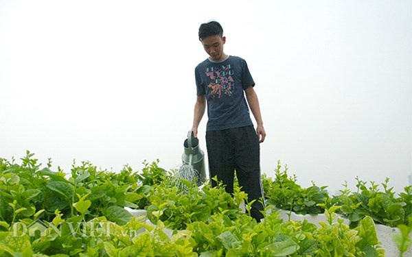 Nha ong 7 tang giua Ha Noi 'ngap' trong rau, ca, ga, lon,... hinh anh