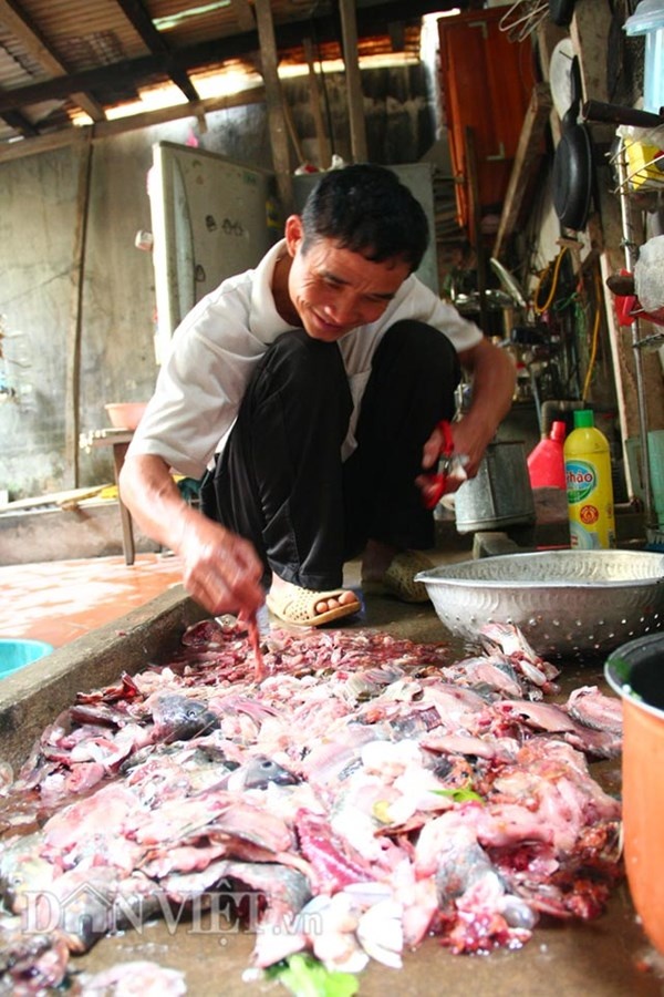 Ông cẩn thận chọn lọc và rửa sạch ruột cá đi xin ở ngoài chợ để mang về làm thức ăn cho cá ông thả.