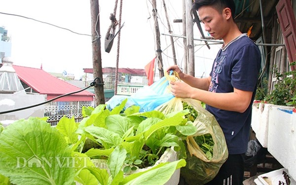 Vì khu chăn nuôi ở trên tầng cao, nên hàng ngày việc vận chuyển thức ăn cho gà, ngan lợn, chim, mèo khá vất vả, và ý tưởng làm một chiếc ròng rọc đã nảy sinh.