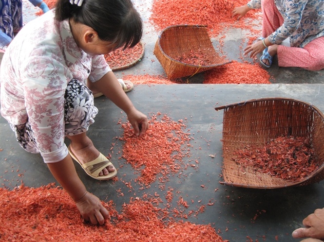 Ruoc bien ban nhuom pham mau hinh anh