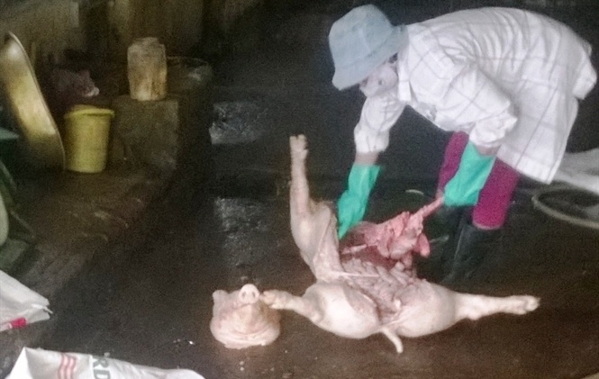 Vach tran duong day buon lon om chet o Hung Yen hinh anh