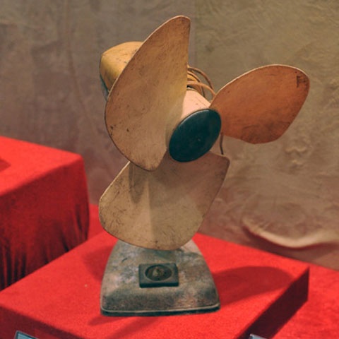 Quat tai voi: Hang xa xi mot thoi gio ra sao? hinh anh