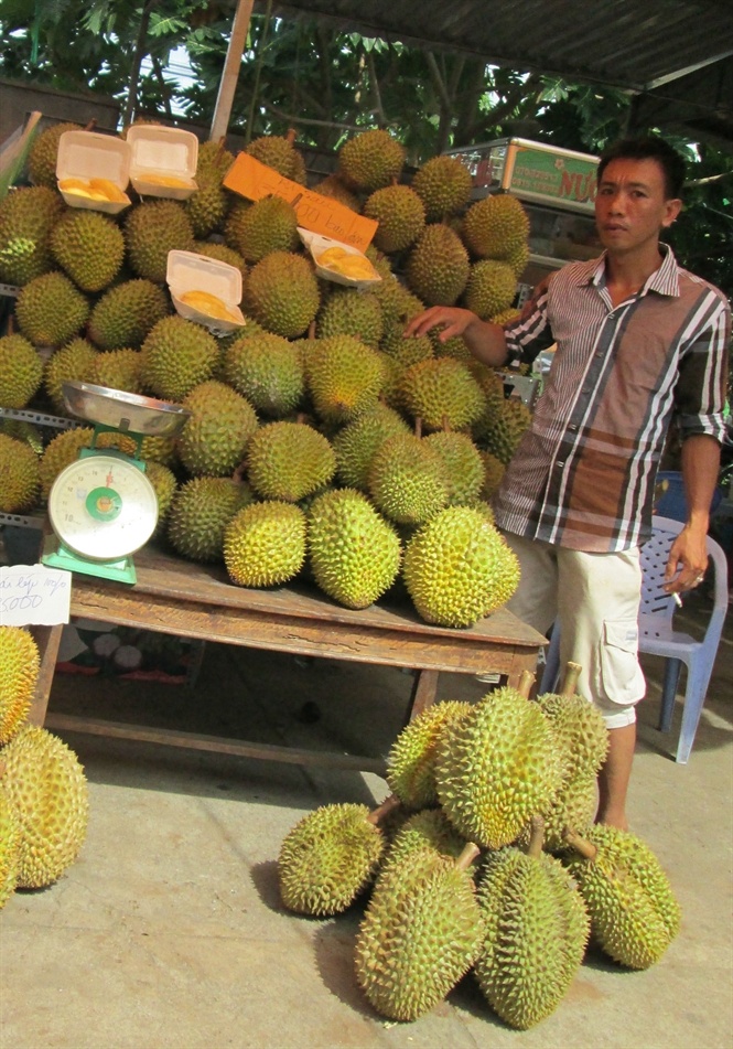 Trái chín rải vụ được giá cao.