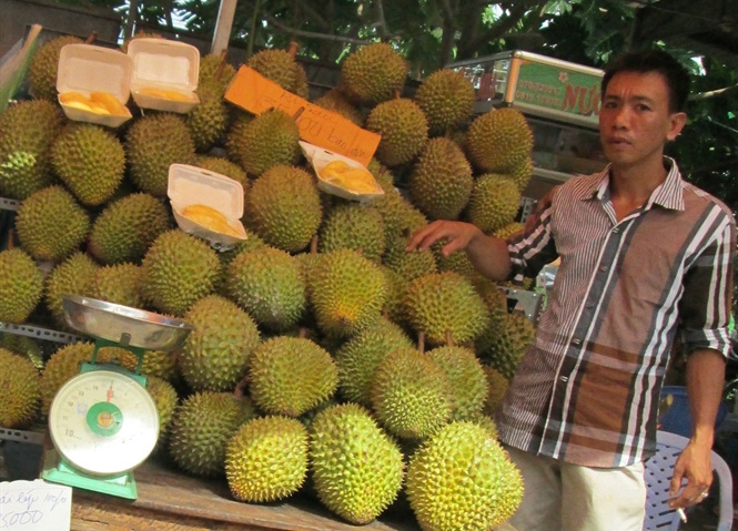 Nha vuon mien Tay thu tien ty nho trai cay rai vu hinh anh