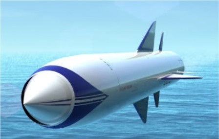 He lo ve 'chua te tren bien' cua Hai quan Nga hinh anh