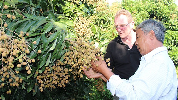 Doanh nghiep Anh den tan vuon mua nhan hinh anh