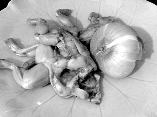 Bi san chui vao phoi vi an thit ech chua chin hinh anh