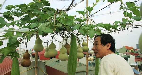 Ong chu dat Ha thanh voi gian bau tien o san thuong tang 5 hinh anh