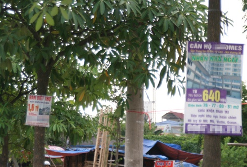 Nha gia re: Hang hot het thoi hanh hoe hinh anh