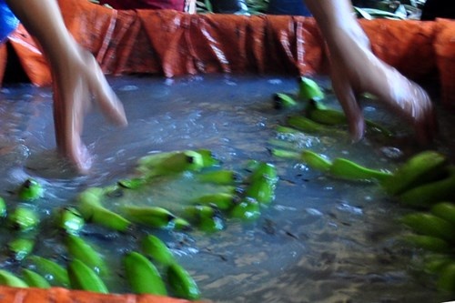 Chuối được tấm ngập trong hóa chất độc hại cho nhanh chín. Hình minh họa.