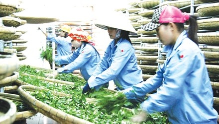 Chieu ban cua cac doi thu canh tranh voi che Viet hinh anh