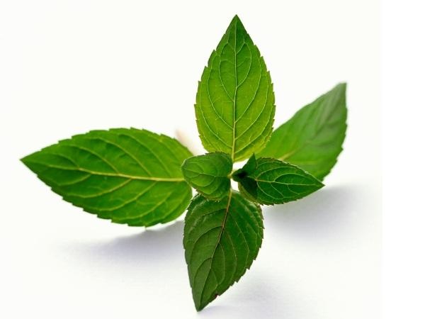 Chống đầy hơi  Hãy uống một ly nước ép bạc hà. Chất bạc hà sẽ tiêu diệt vi khuẩn gây chướng bụng, đầy hơi, giúp thả lỏng các cơ của đường tiêu hóa và làm dịu các cơn đau. Ngoài ra, bạc hà có thể ngăn ngừa sự giãn nở dạ dày và cảm giác khó chịu của chứng ợ nóng và khó tiêu.