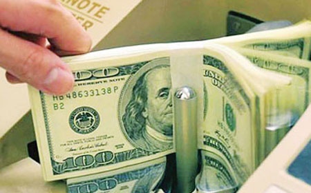 Ong lon ngoai chon mat dai gia Viet gui tien hinh anh